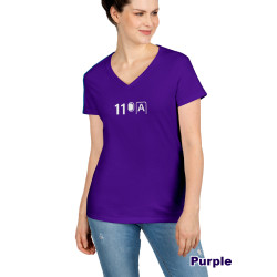 11A Seat Survivor V-neck T-shirt Indian Airlines 11 A Icon Shirt