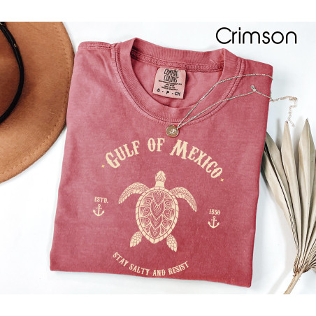Gulf of Mexico Stay Salty and Resist TShirt Soft Comfort Colors® Gulf Coast Shirt